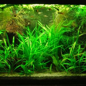 33g Jan 4-12.JPG