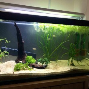 fts 2.5 tank.jpg