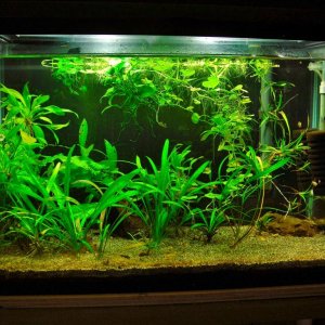 20g QT Aug 23-13.JPG