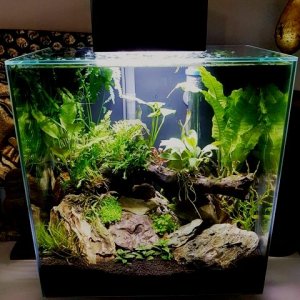 fluval.jpg