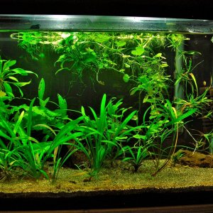 20g QT Aug 23-13.JPG