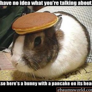 bunnyPancake.jpeg