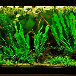 70g Apr 16-15.JPG