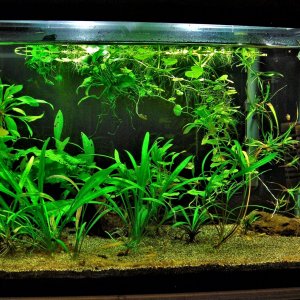 20g QT Aug 23-13.JPG