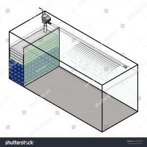 stock-vector-a-large-aquarium-with-a-built-in-filter-compartment-245268769.jpg