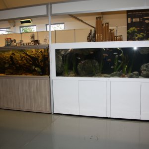 Vivarium 2019  November 3rd 2019 day 2 035.jpg