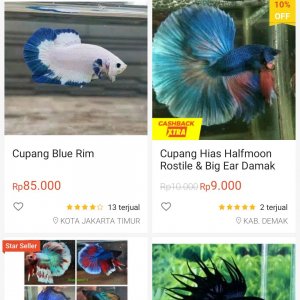 Screenshot_2020-05-27-10-42-38-643_com.shopee.id.jpg