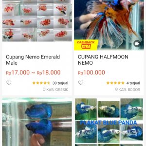 Screenshot_2020-05-27-10-42-48-419_com.shopee.id.jpg