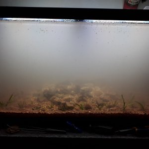 75gal_Rescape_0001.jpg