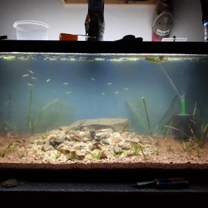 75gal_Rescape_0002.jpg