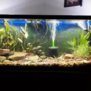 55gal_Rescape (2).jpg