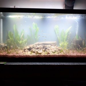 75gal_Rescape_003.jpg