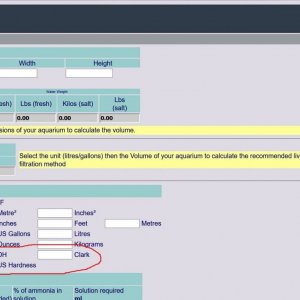 TFF calculator.jpg