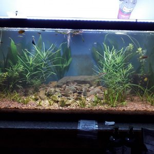 75gal_Rescape_oo4.jpg