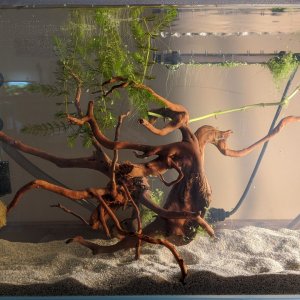 12gal.2.jpg