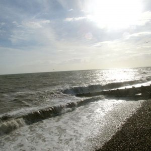 Hove After the storm 2020.jpg