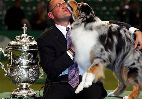 1103crufts2_wideweb__470x328_0.jpg