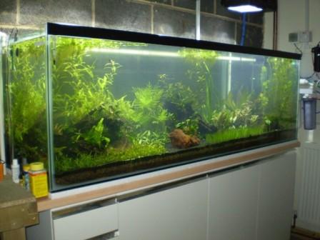 120Gallon.jpg