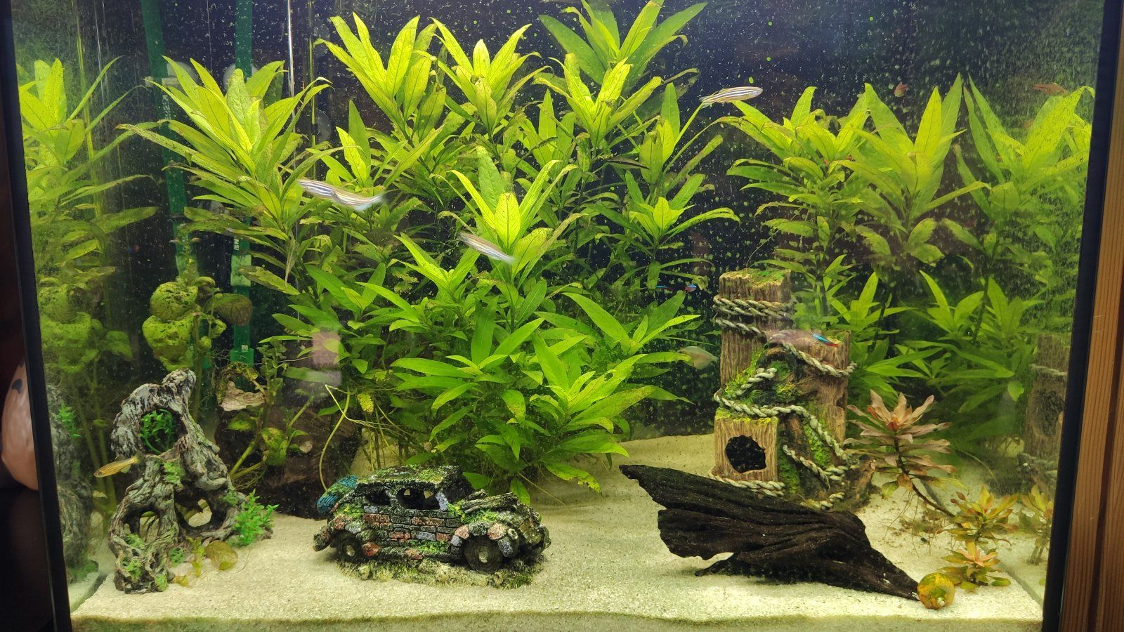 120L Tank.jpg