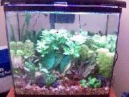 15gallon_Sept_01_2005.jpg