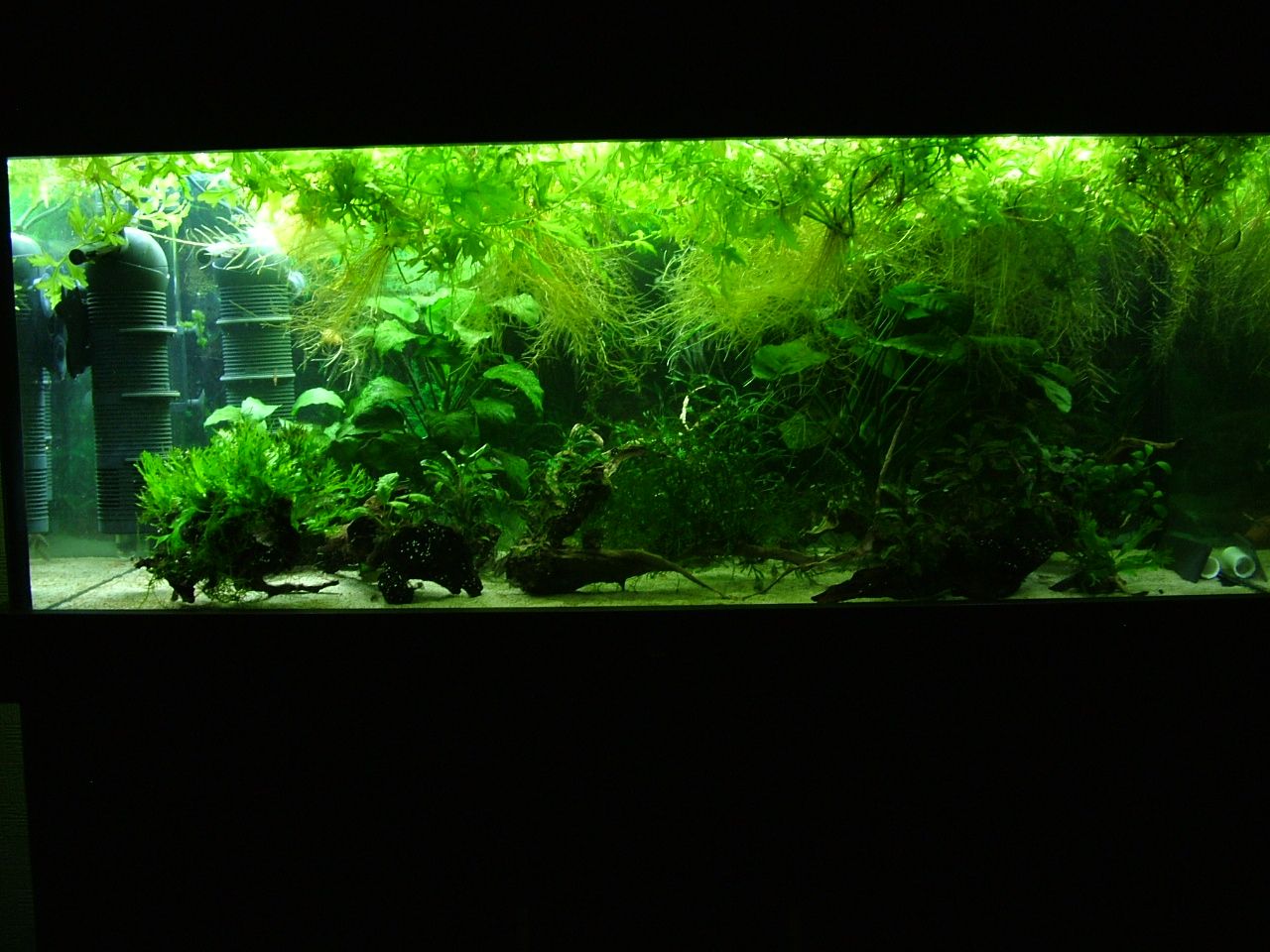 180 litre.JPG