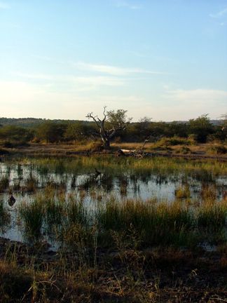 2004_SouthAfrica_umfolozi_266.jpg