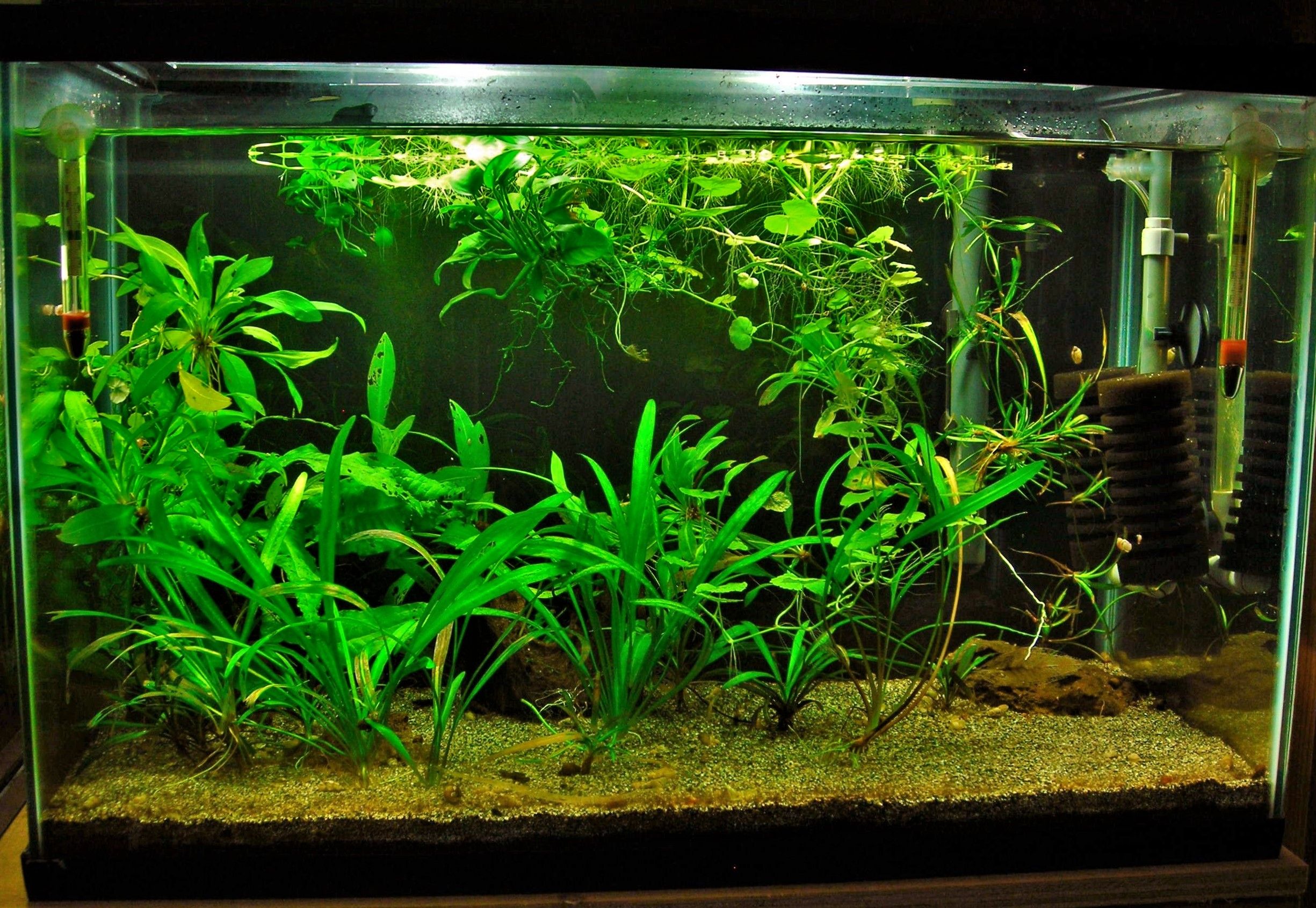 20g QT Aug 23-13.JPG