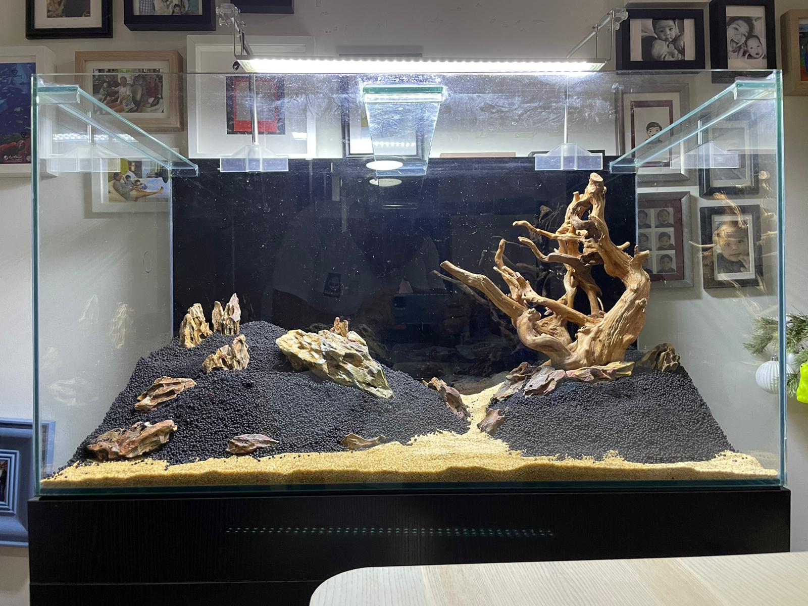 50gal scaping4.jpg