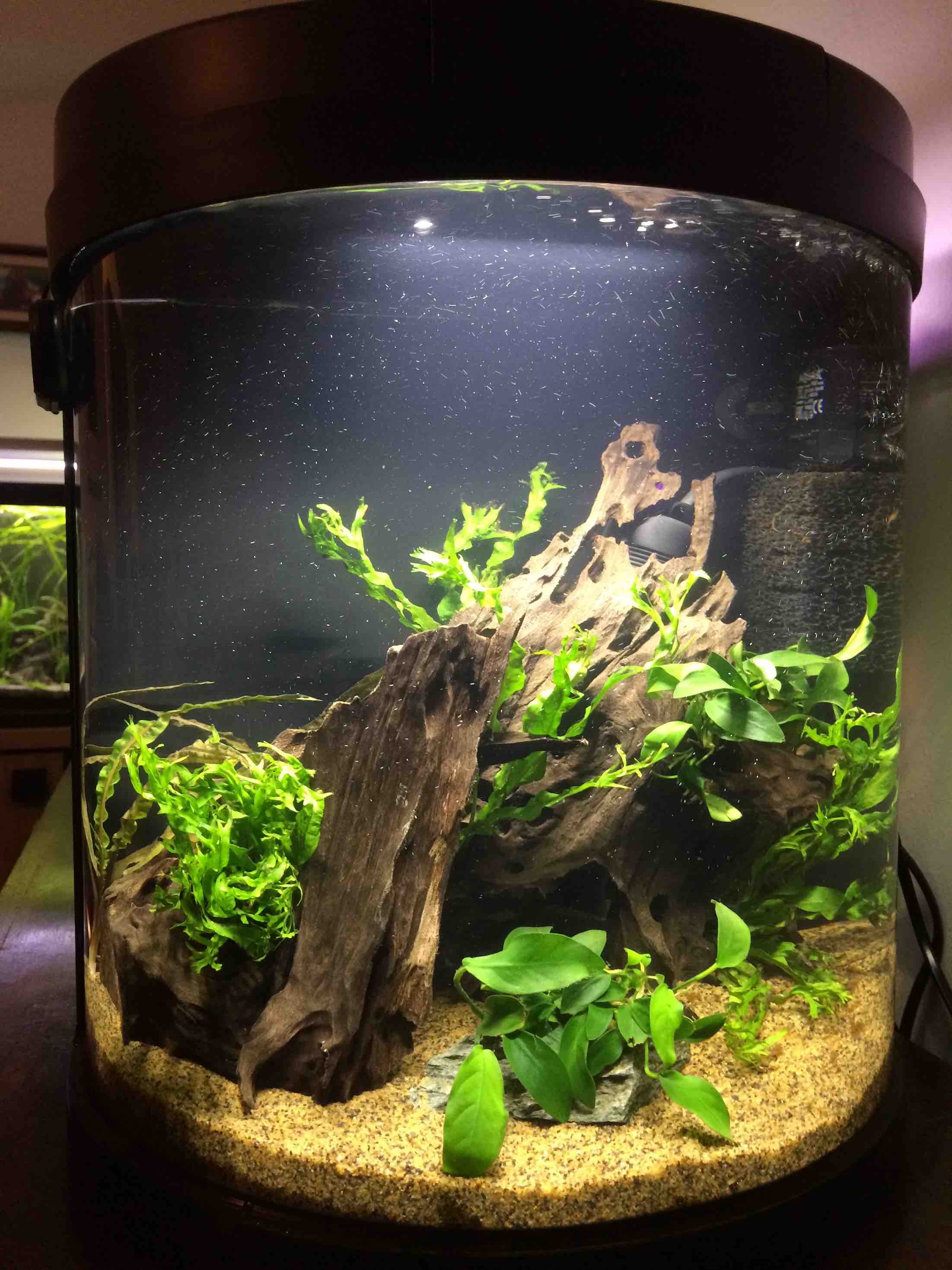 7 New tank FTS.jpg