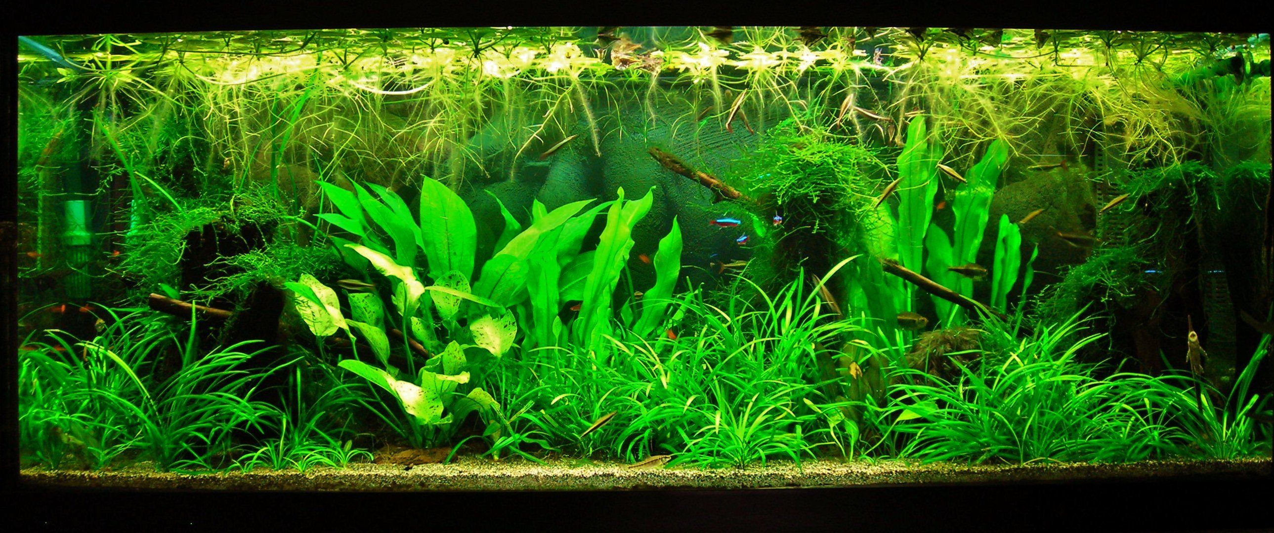 70g Feb 27-14.JPG