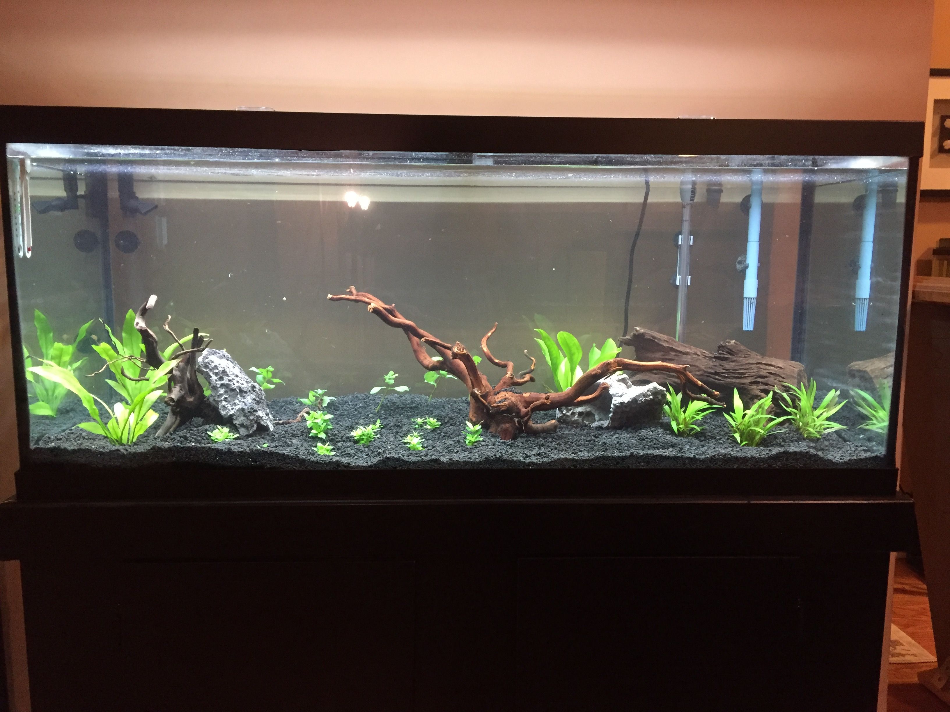 75g1Jan.JPG