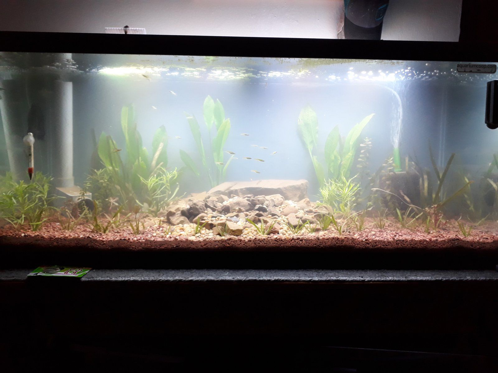 75gal_Rescape_003.jpg