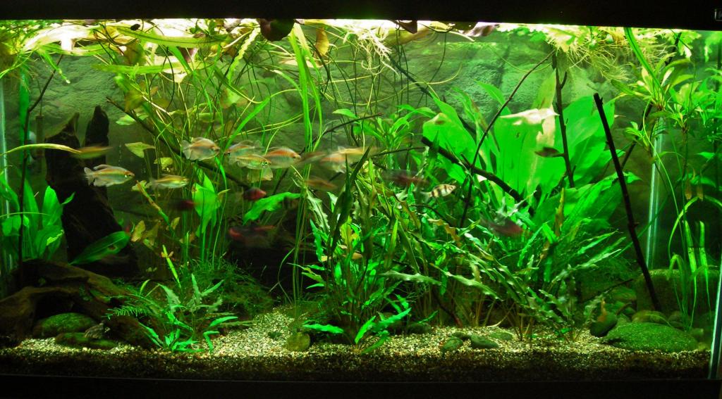 90g Feb 24-15.JPG