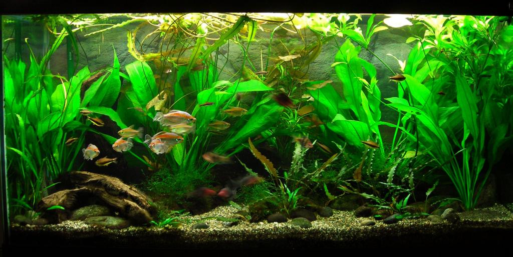 90g Oct 17-13.JPG