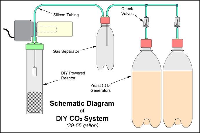 bigdiyco2552.jpg