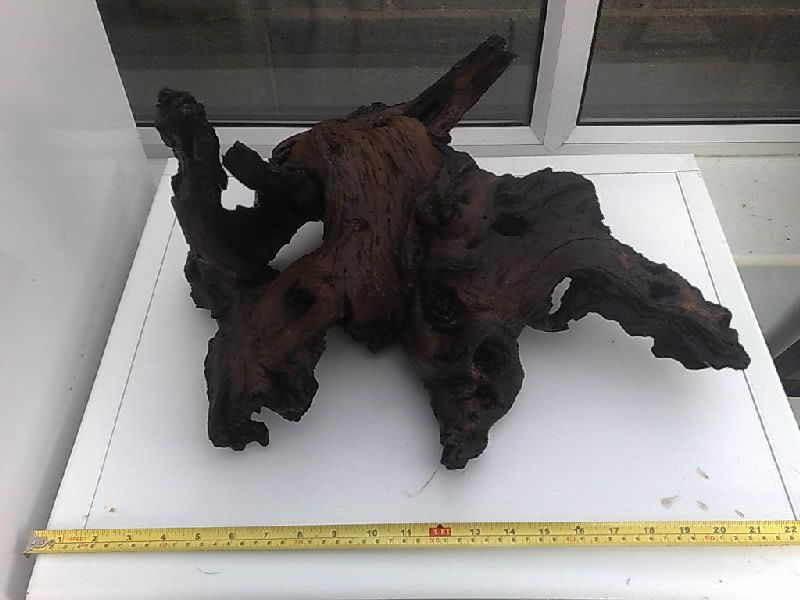 Bogwood2.jpg