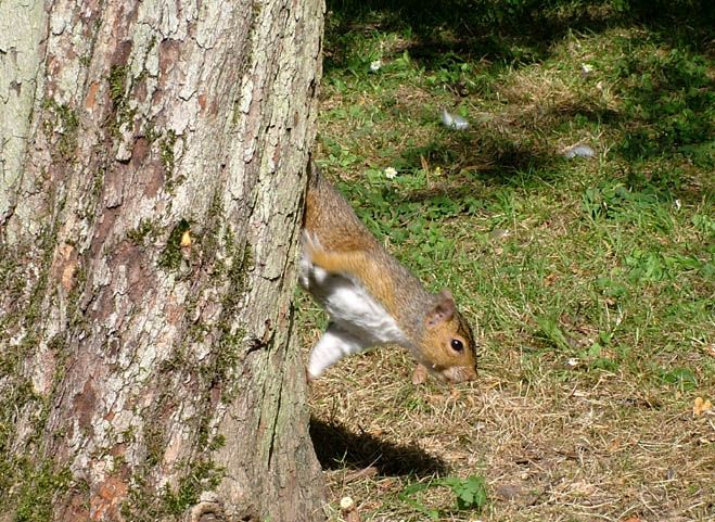 BotanicGardens2004_0731_021_.jpg