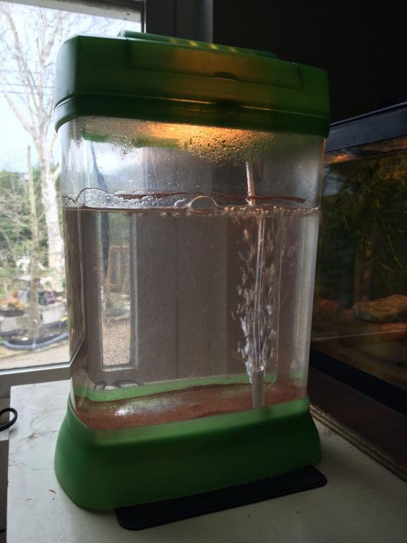 brine shrimp hatchery.jpg