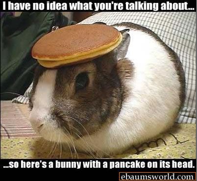 bunny_pancake.jpg