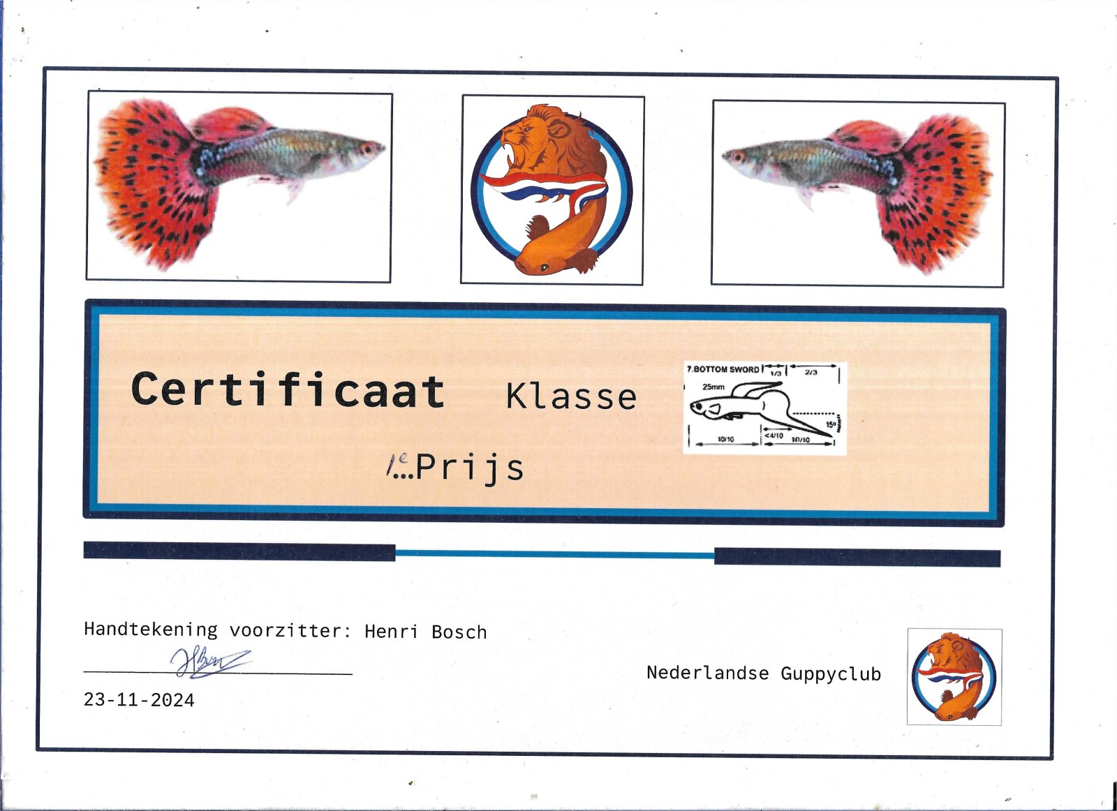 Certificaat lower sword guppy 1st place.jpg