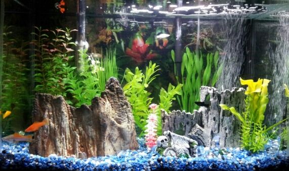 Community tank(1).jpg