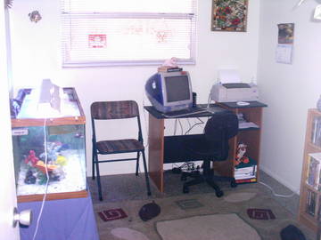 computerroom1.jpg