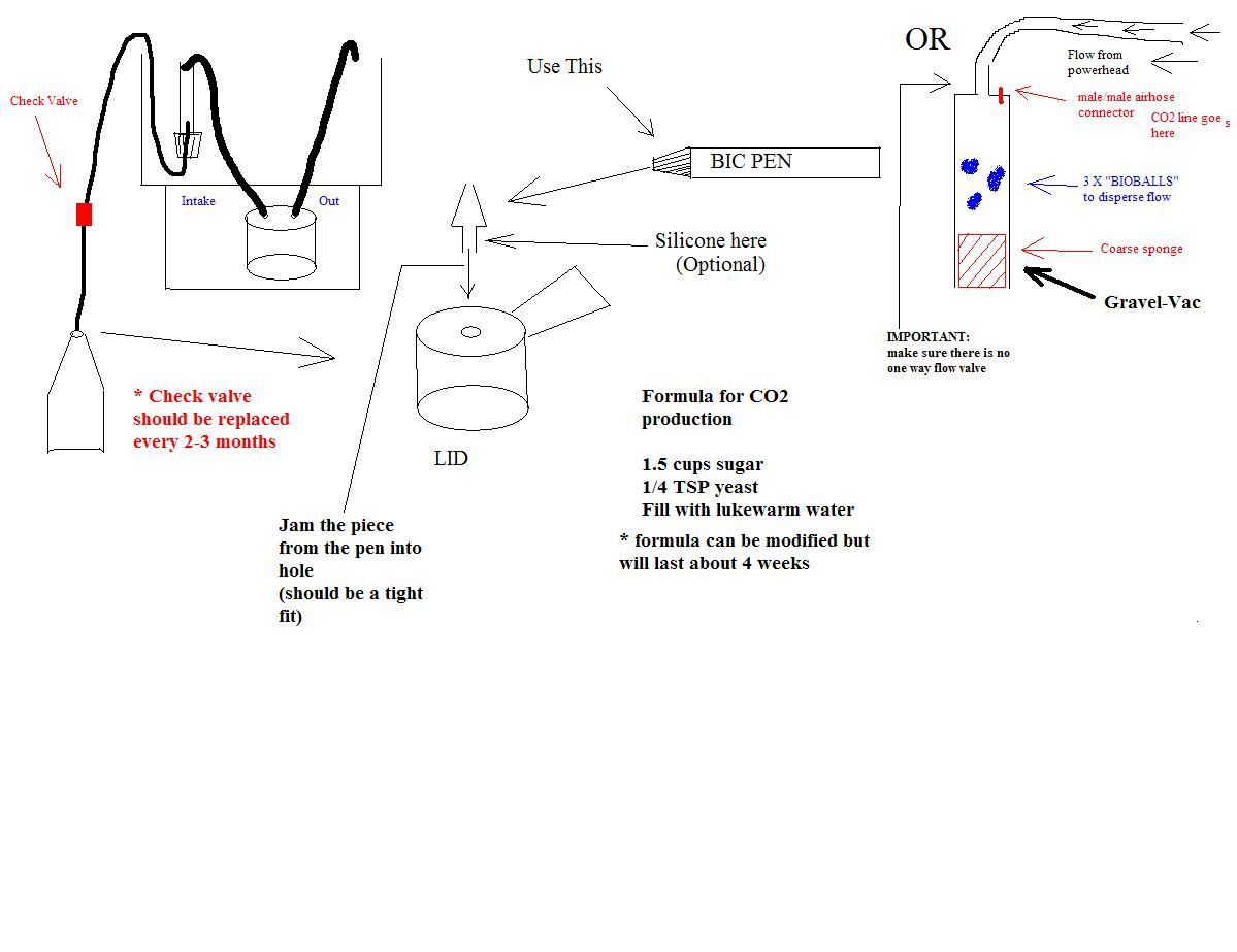 DIY_CO2_b.JPG