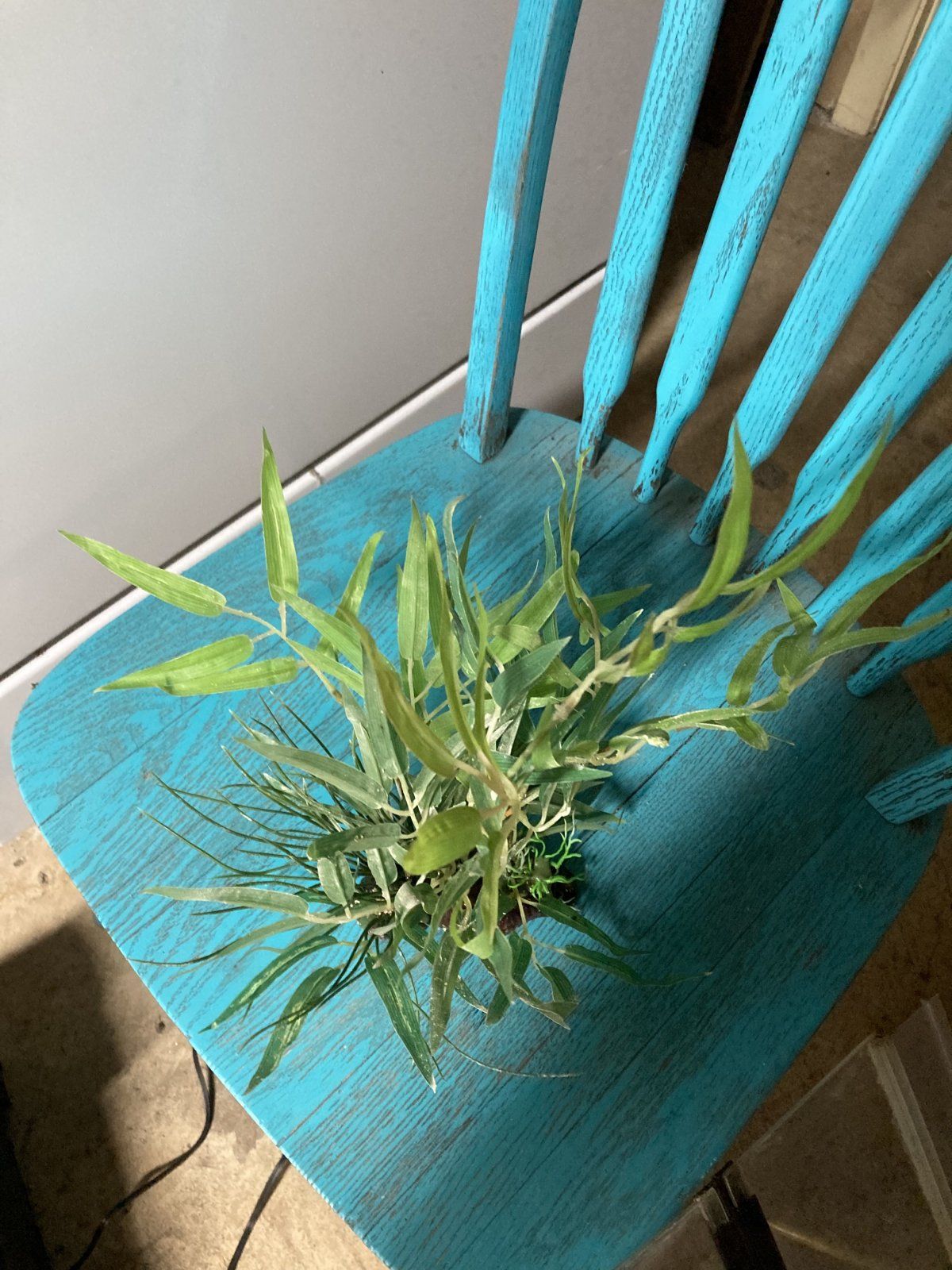 Fake Plant 20 Gallon.jpg