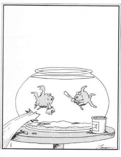 Farside Fish 3.jpg