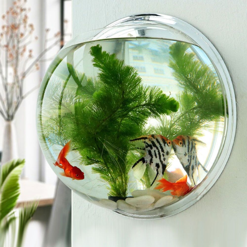 fish bowl wall decor.jpg