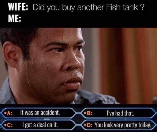 fish-memes13.jpg