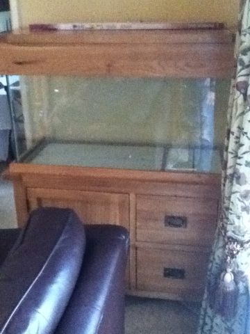 Fish Tank first.jpg