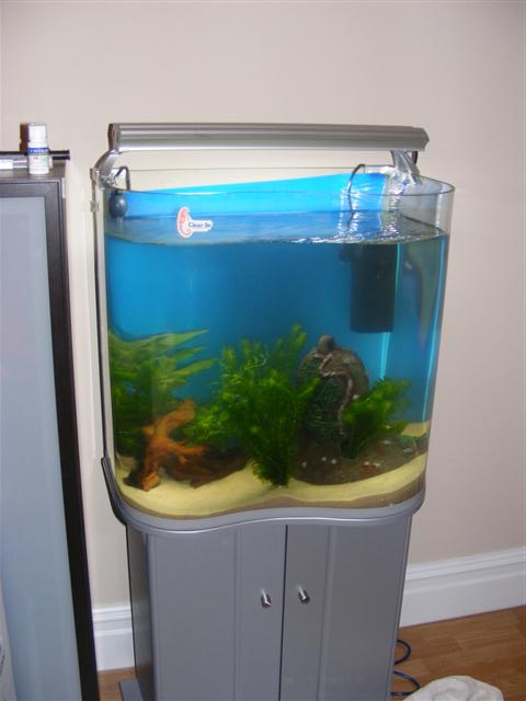 fish_tank_004__Small_.jpg