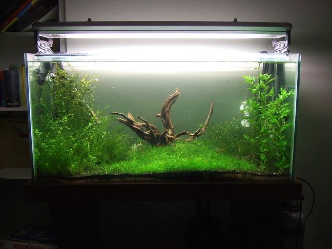 fish_tank_before_uas_001.JPG